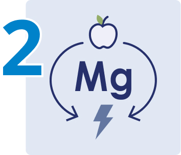 Magnesium creating cellular energy illustration