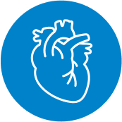 Magnesium and heart health illustration